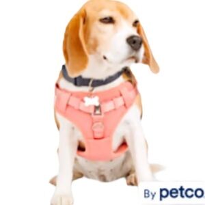 NWT YOULY padded dog harness S